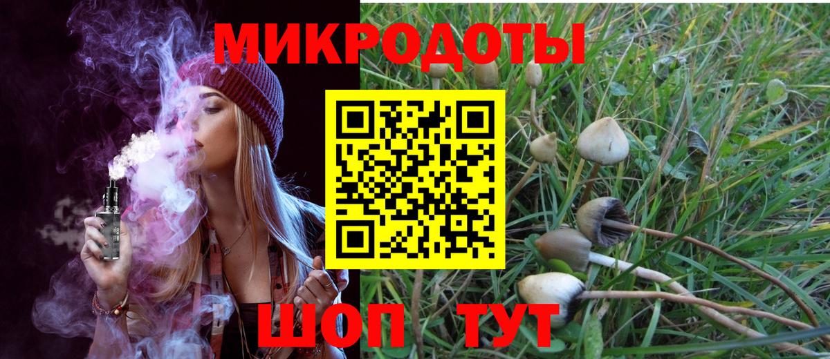 Псилоцибиновые грибы мухоморы Вольск