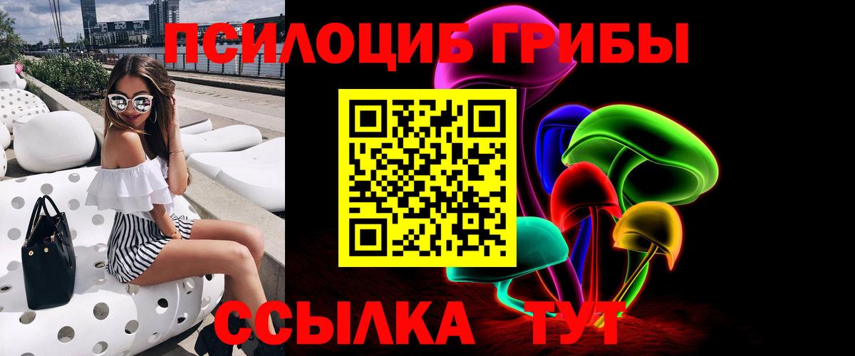 Галлюциногенные грибы мицелий  наркошоп  Вольск  Вход с VPN 
